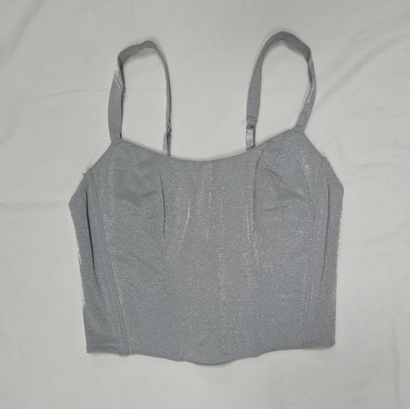 Victoria's Secret Gold Label Vintage Silver Glitter Corset Top 34/M